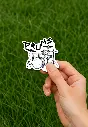 Picsart_25-08-10_00-04-14-567.webp