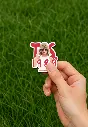 Picsart_25-08-10_00-17-52-989.webp