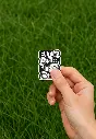 Picsart_25-08-10_00-08-33-226.webp