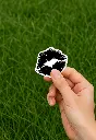 lips hand.webp