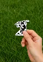 Picsart_25-08-10_00-18-38-537.webp