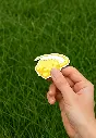 Picsart_25-08-10_00-12-50-460.webp