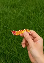 Picsart_25-08-09_23-47-48-135.webp