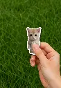 Picsart_25-08-17_23-22-29-039.webp
