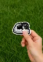 Picsart_25-08-10_00-18-16-212.webp