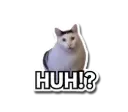 Huh Cat Sticker