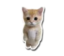 Standing Cat Sticker