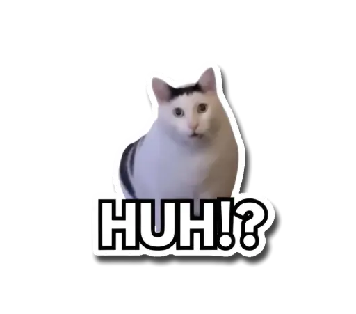 Huh Cat Sticker