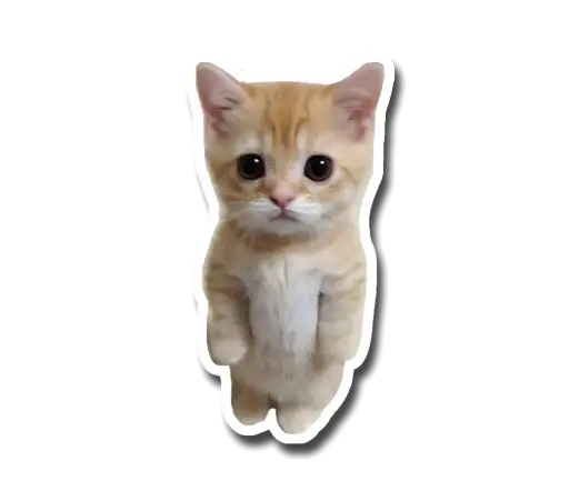 Standing Cat Sticker